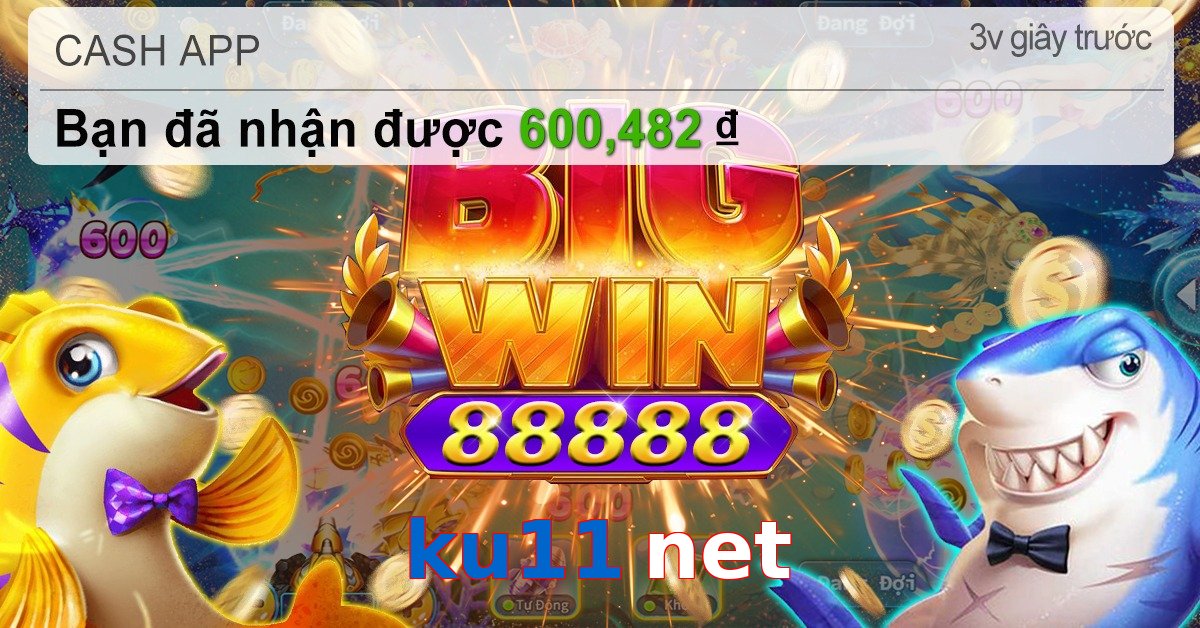 ku11 net